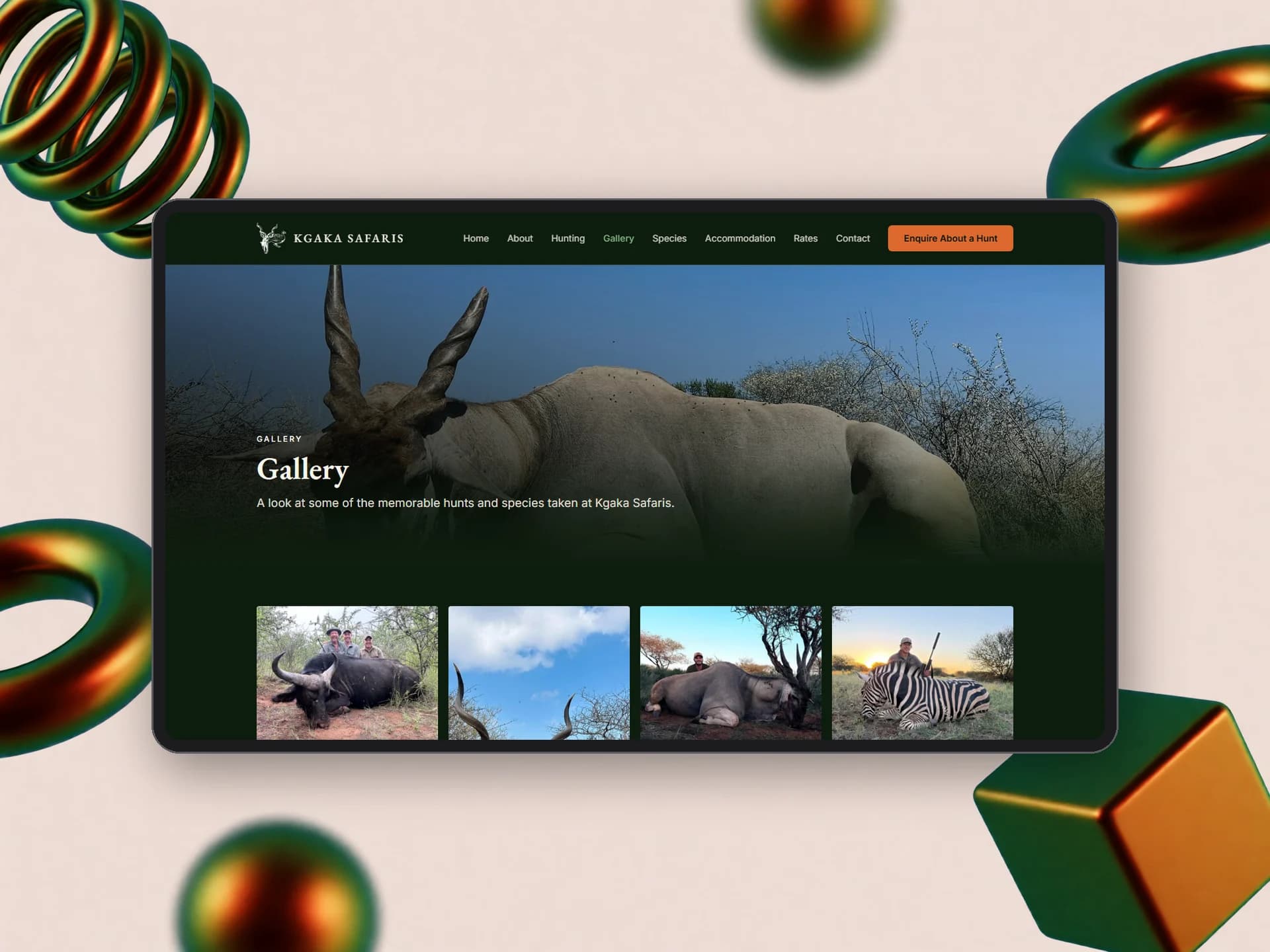 Kgaka Safaris gallery page with bushveld photography